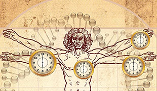 Male Bio Clock